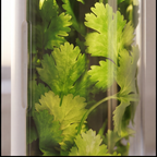 HerbPod™ | Fresh Herbs, 3 Weeks Longer